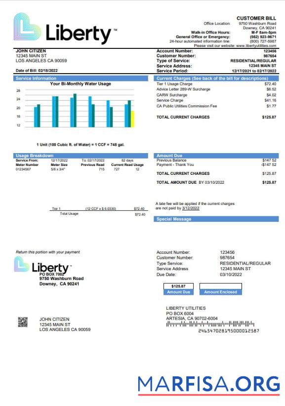 Blank USA California Liberty Utilities utility bill template in Word and PDF format